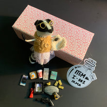 Load image into Gallery viewer, Irma’s Got a Secret — Goblin Hoard Curiosity Box No. I-001