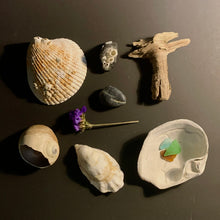 Load image into Gallery viewer, Sea Witch Discovery Box
