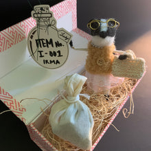 Load image into Gallery viewer, Irma’s Got a Secret — Goblin Hoard Curiosity Box No. I-001
