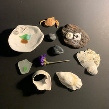 Load image into Gallery viewer, Sea Witch Discovery Box
