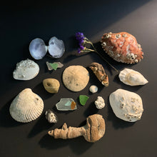 Load image into Gallery viewer, Sea Witch Discovery Box
