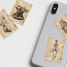 Load image into Gallery viewer,  rectangle human heart, jaw, skeleton and torso  body decals sepia tone decorating mobile phone
