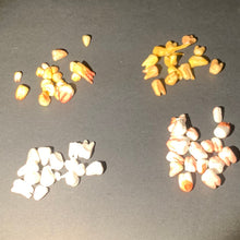 Load image into Gallery viewer, Four small piles of faux teeth, arranged by color for reference, on a dark gray background.
