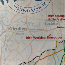 Load image into Gallery viewer, Irish Ephemera Pack — Found Paper from the East of Ireland
