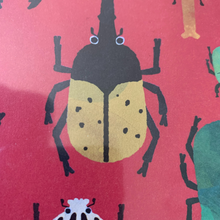 Load image into Gallery viewer, Insect Origami Paper
