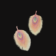 feather appliques in soft pink tones