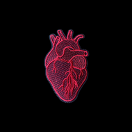 Anatomical Heart Patch