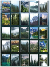 Load image into Gallery viewer, Mini Book of Forest Stickers - 50/pk
